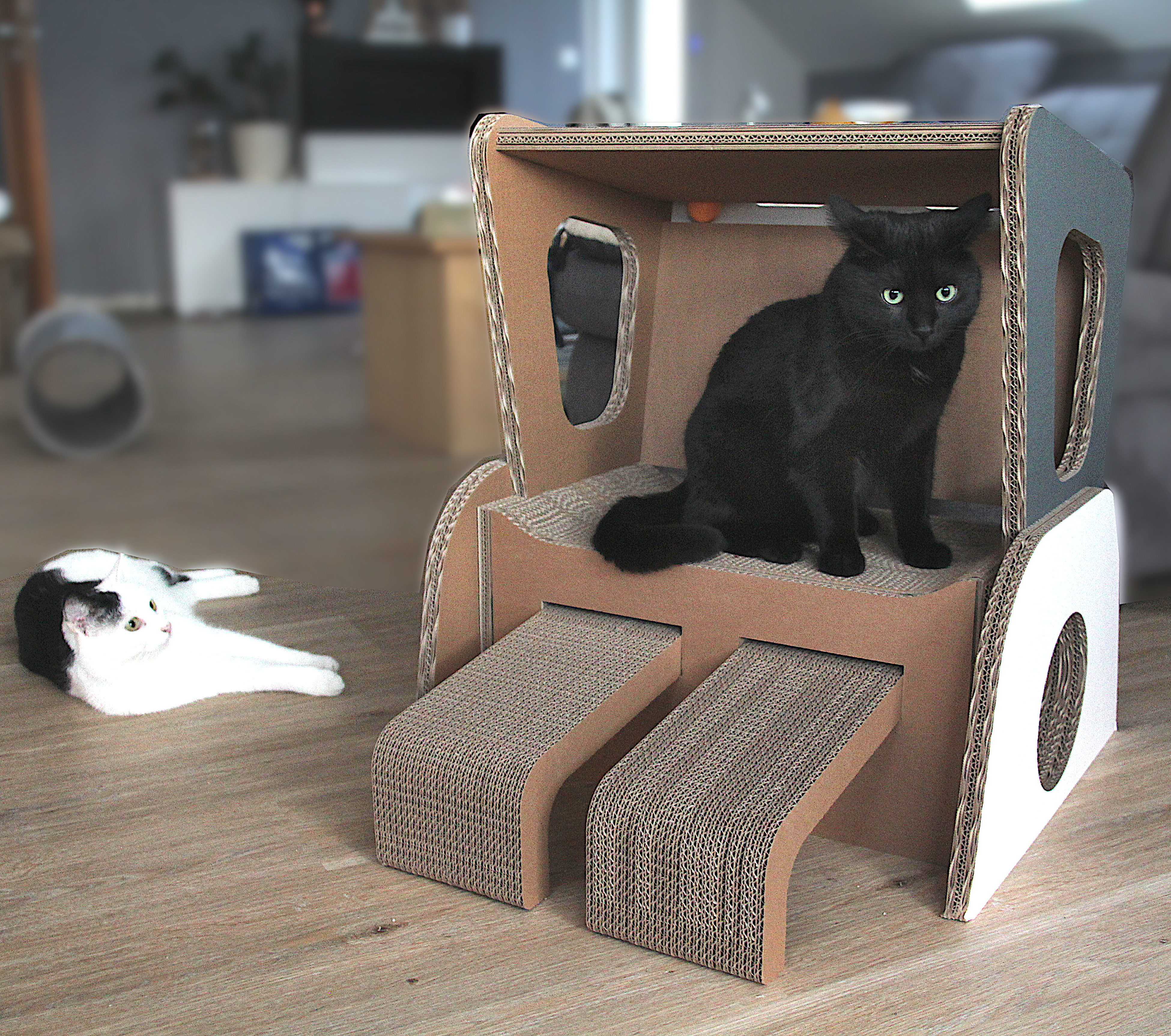 Katzen-Standkorb gross genug für 2 Katzenstrandkorb für 2 Katzen