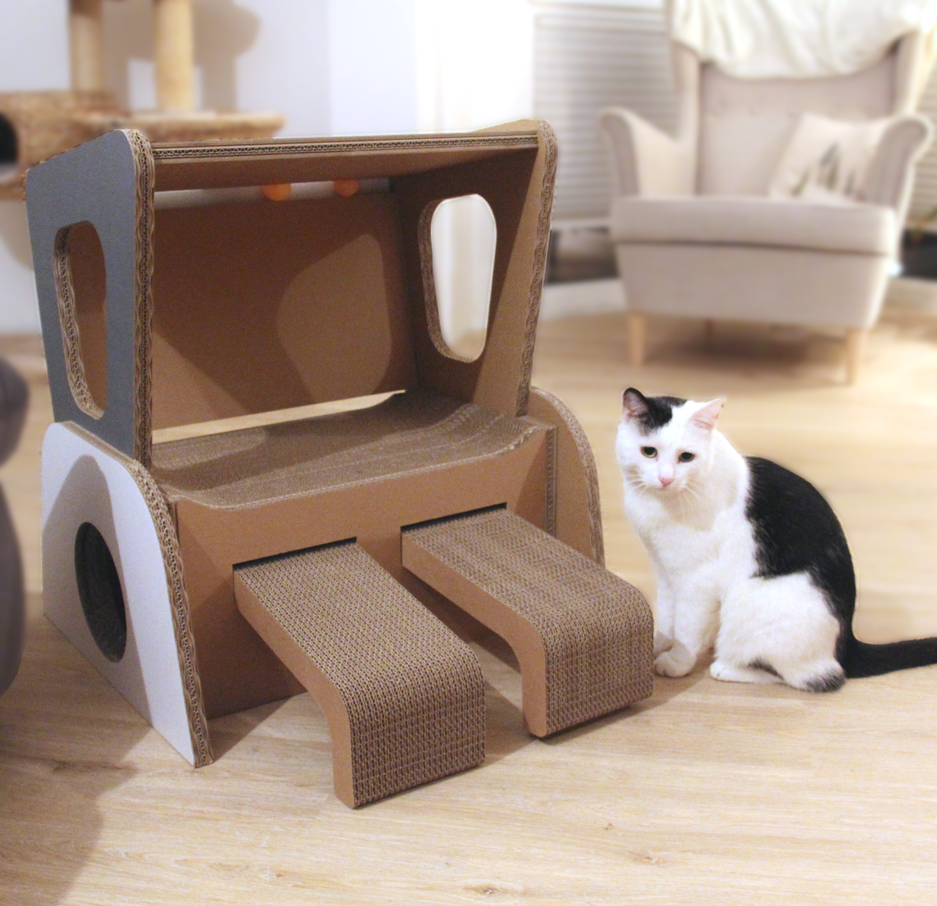 nordischen Flair mit Katzenmöbel - der Strandkorb Katzenstrandkorb - passend für jede Einrichtung
