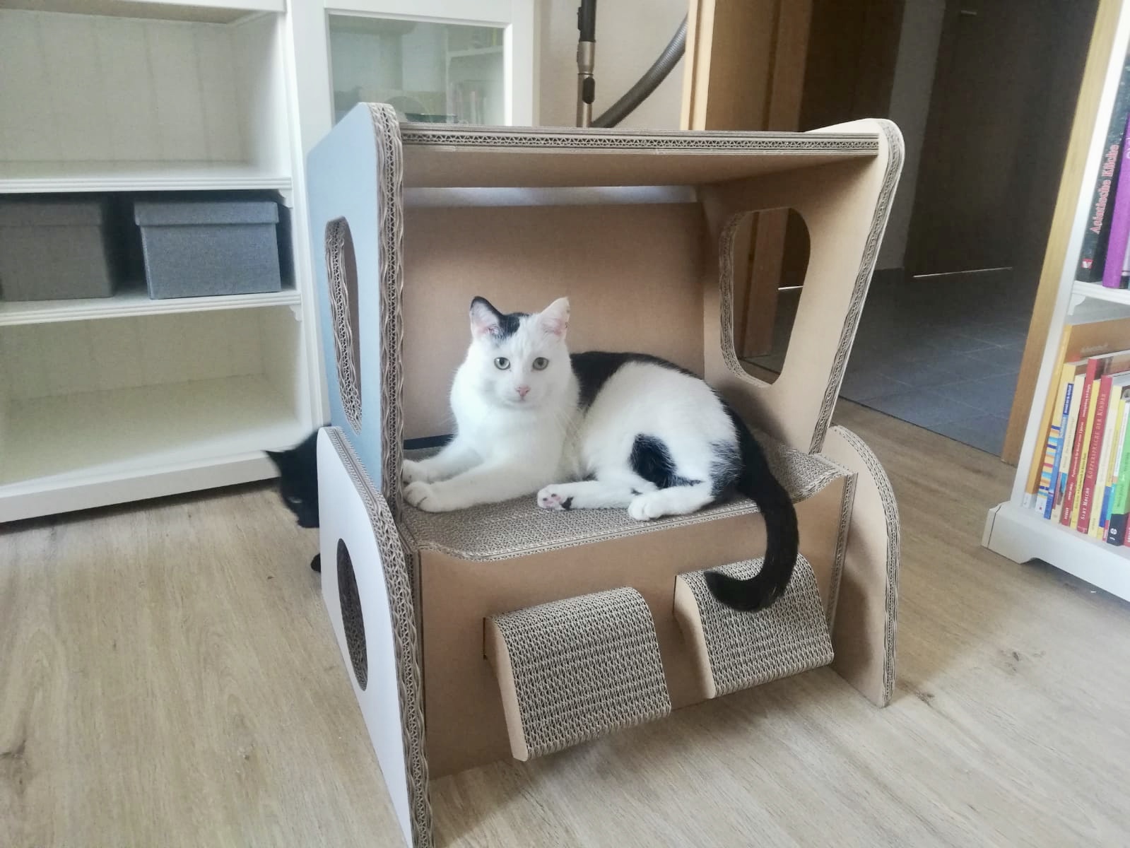Katzenstrandkorb bestetzt Katzenstrandkorb mit eingezogenen Füßen