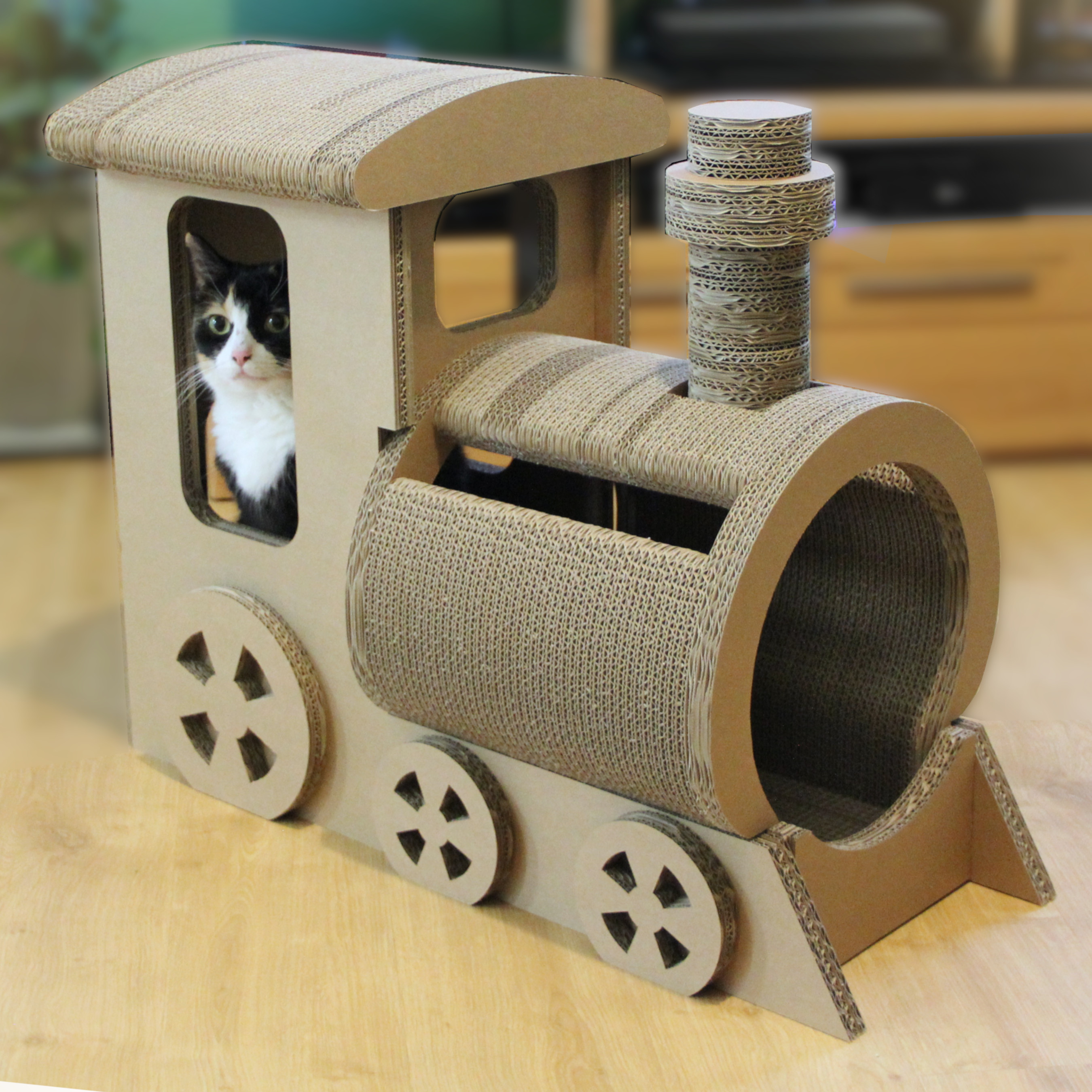 Katzenlok Katzenlok