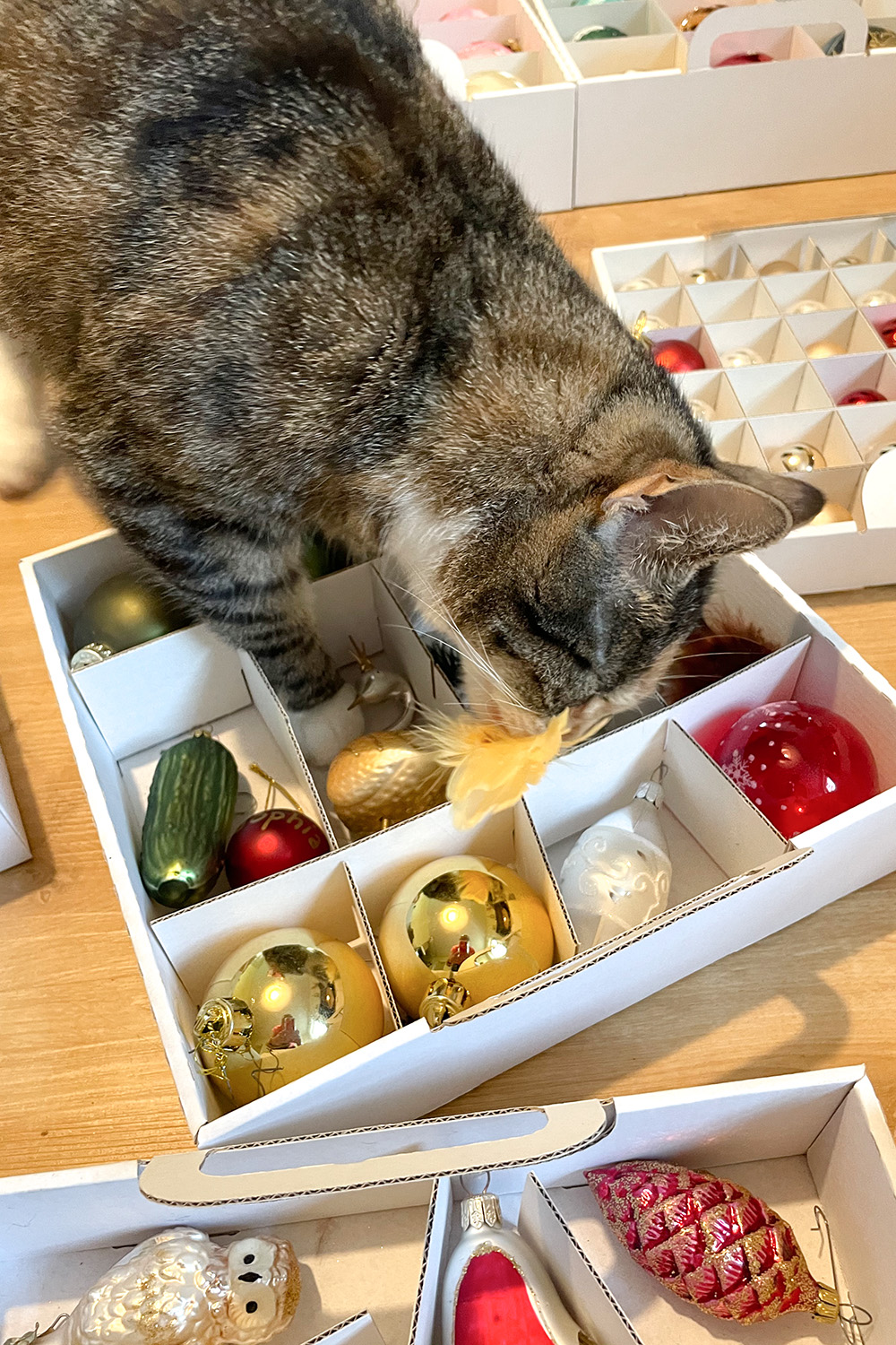 Mia hilft beim sortieren Weihnachtskugel soriteren ist der erste Schritt zu Aufbewahrung