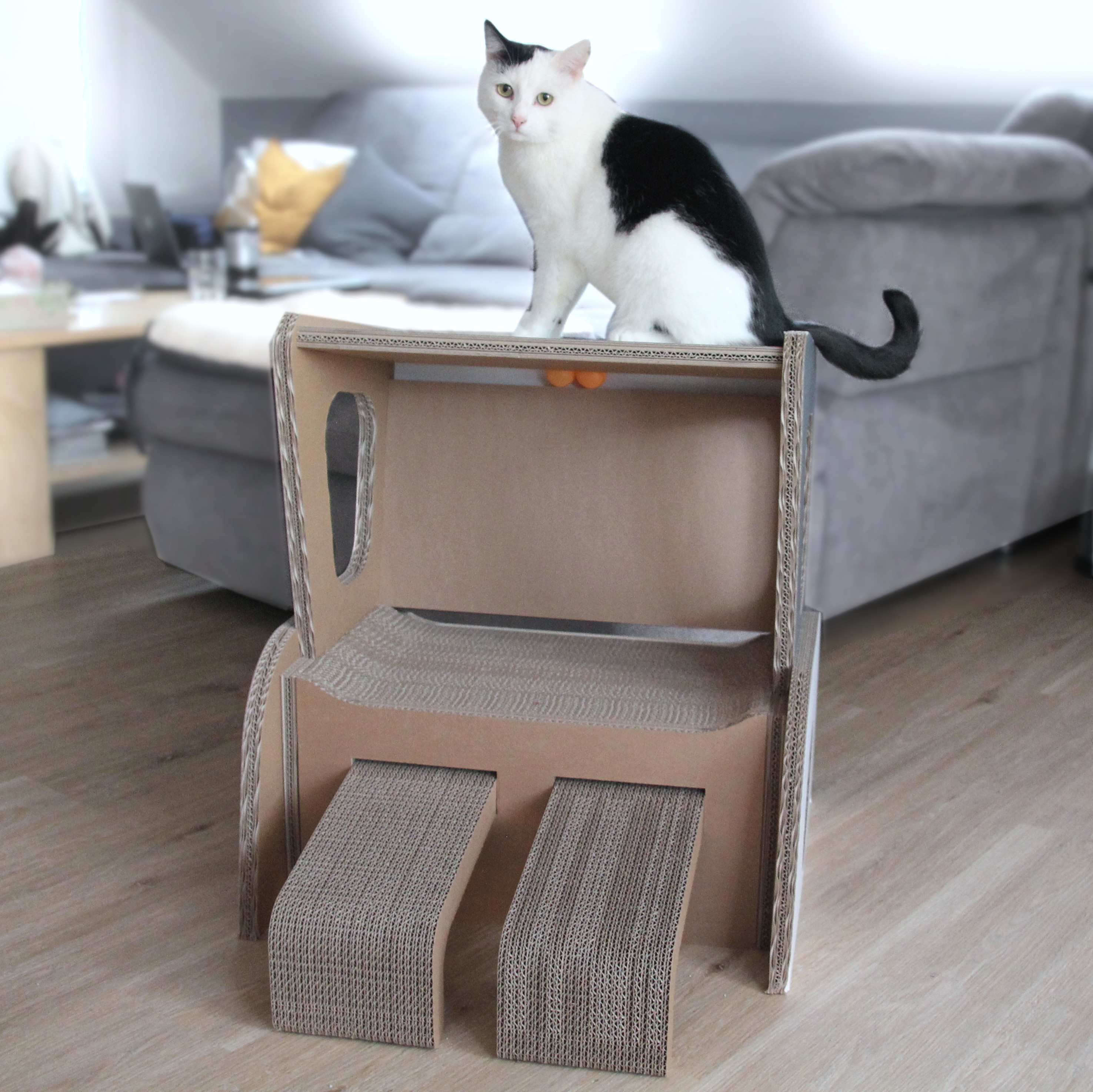 Ausblick vom Katzen-Strandkorb Katzenstrandkorb mit guten Ausblick