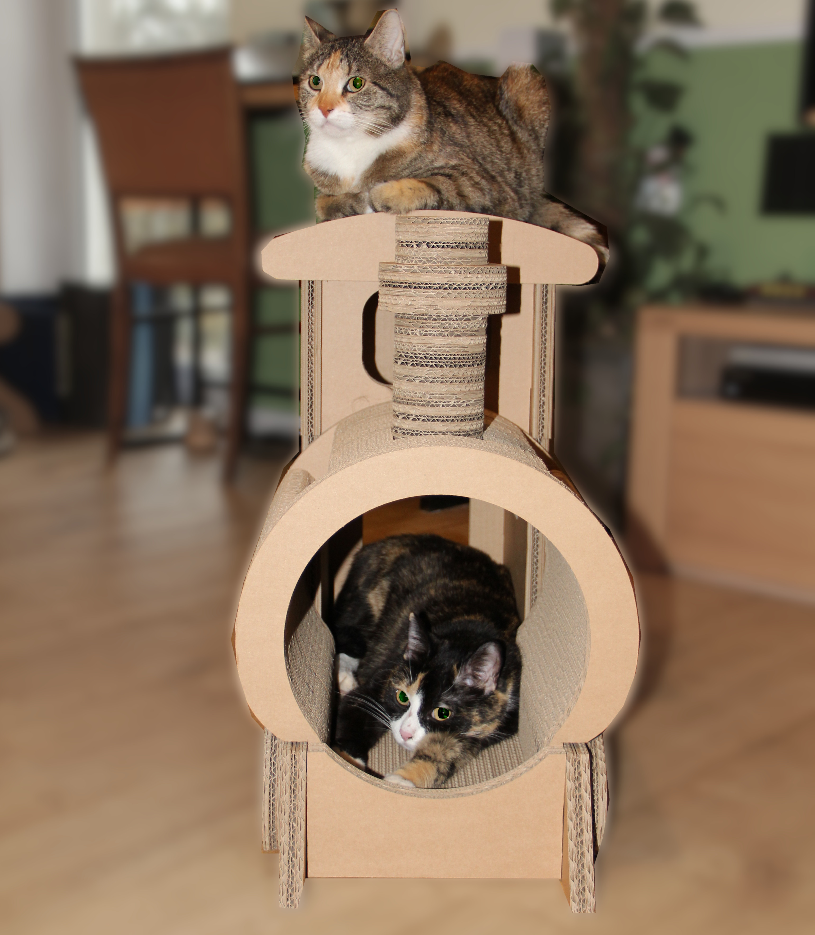Katzenlok Katzenlok