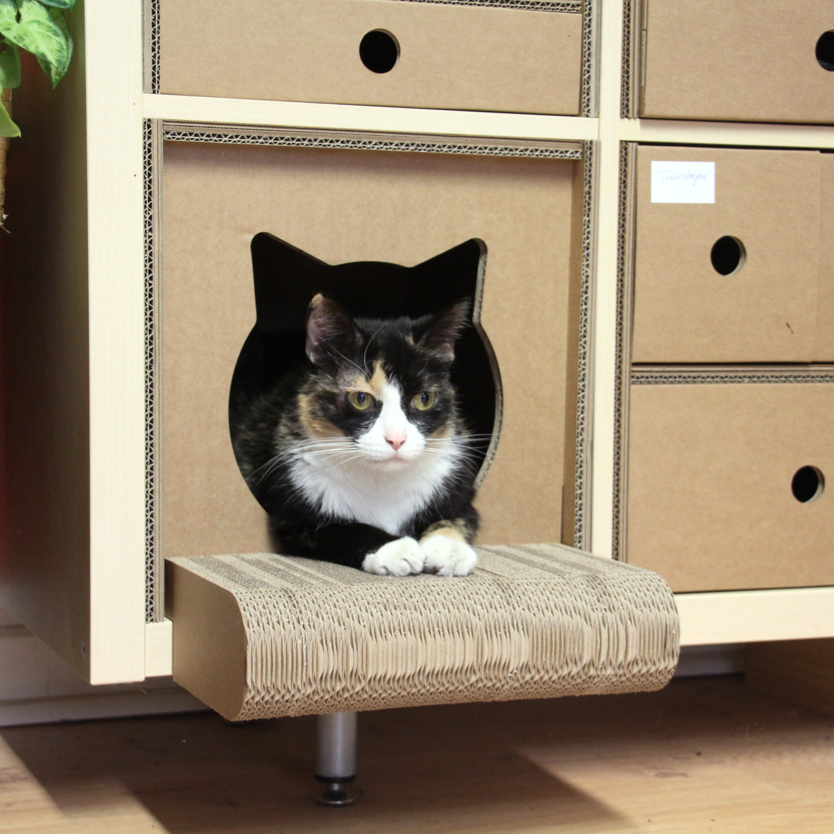 KALLAX Regal Einsätze Katzenloggia aus Wellpappe by KUBBY KALLAX Regal Einsätze Katzenloggia aus Wellpappe by KUBBY