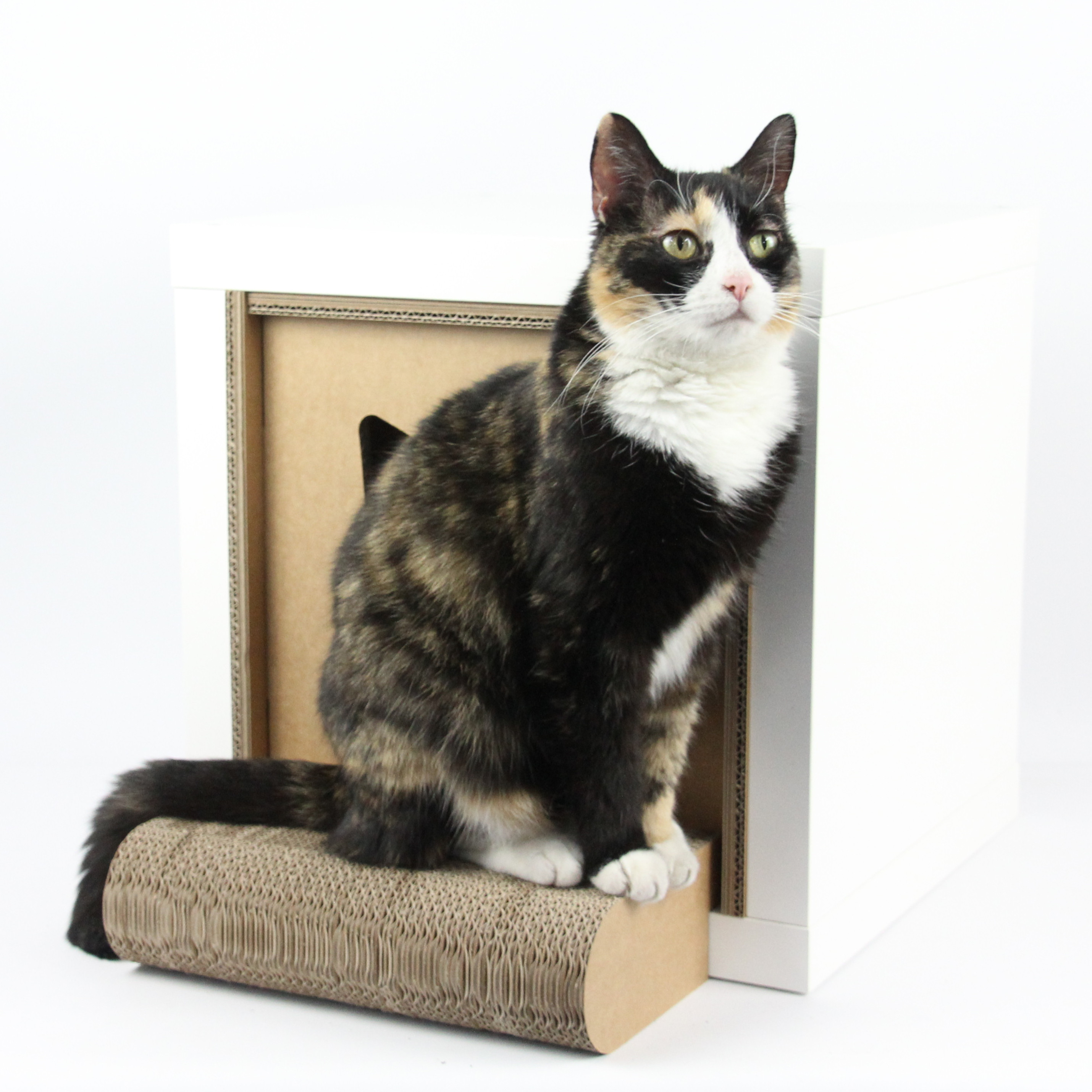 KALLAX Regal Einsätze Katzenloggia aus Wellpappe by KUBBY KALLAX Regal Einsätze Katzenloggia aus Wellpappe by KUBBY